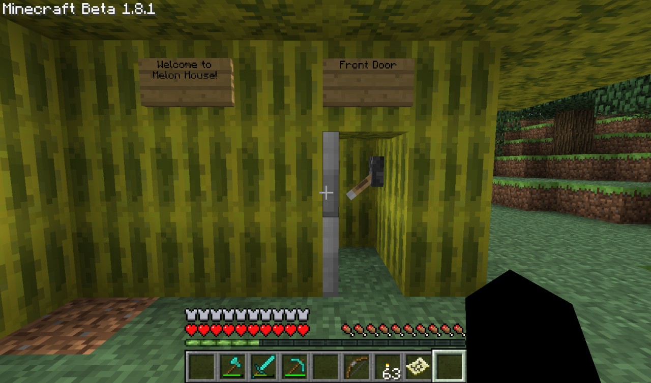 Melon House Minecraft Map